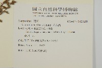 茵蔯蒿藏品圖，第2張