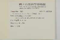 珍珠蒿、奇蒿藏品圖，第2張