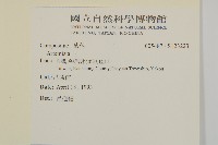 登錄號:S123223藏品圖，第2張