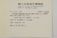 尼泊爾籟簫藏品圖，第2張