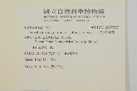 抱莖籟簫藏品圖，第2張