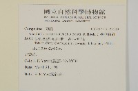 抱莖籟簫藏品圖，第2張