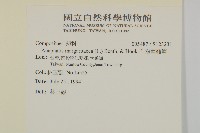 抱莖籟簫藏品圖，第2張