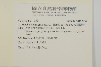 抱莖籟簫藏品圖，第2張