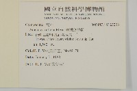 臺灣鬼督郵藏品圖，第2張