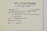 阿里山鬼督郵藏品圖，第2張