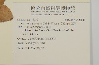 阿里山鬼督郵藏品圖，第2張
