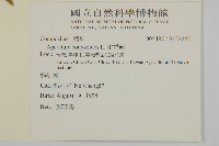 霍香薊藏品圖，第2張