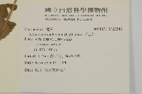 下田菊藏品圖，第2張