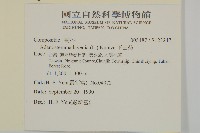 下田菊藏品圖，第2張