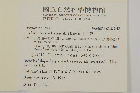 下田菊藏品圖，第2張