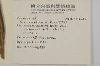 下田菊藏品圖，第2張