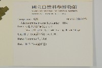 下田菊藏品圖，第2張