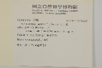 下田菊藏品圖，第2張