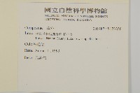 登錄號:S123256藏品圖，第2張