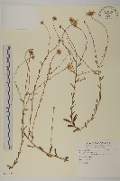 登錄號:S123257藏品圖，第1張