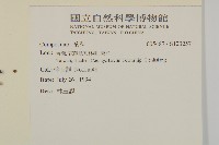 登錄號:S123257藏品圖，第2張