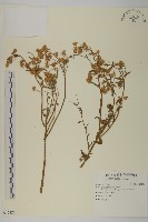 登錄號:S123258藏品圖，第1張