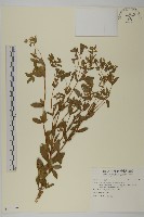 登錄號:S123259藏品圖，第1張