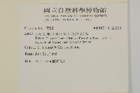 登錄號:S123259藏品圖，第2張