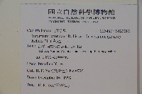 紅子莢迷藏品圖，第2張