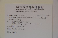 紅子莢迷藏品圖，第2張