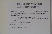 狹葉莢迷藏品圖，第2張