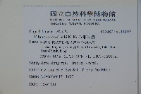 珊瑚樹藏品圖，第2張