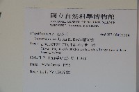 珊瑚樹藏品圖，第2張