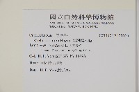 臺灣糯米條藏品圖，第2張