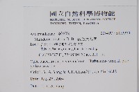 絨毛芙蓉蘭藏品圖，第2張