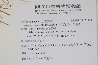 大花細辛、馬蹄香藏品圖，第2張