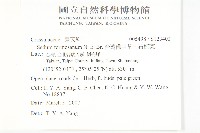 台灣佛甲草、石板菜藏品圖，第2張