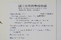 多子漿果莧藏品圖，第2張