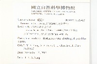 銳葉牽牛藏品圖，第2張