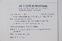 平伏莖白花菜、成功白花菜藏品圖，第2張