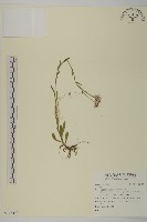 登錄號:S123453藏品圖，第1張