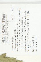川續斷藏品圖，第2張