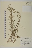 登錄號:S123469藏品圖，第1張