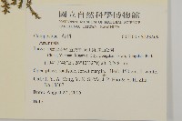 登錄號:S123469藏品圖，第2張