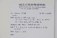 登錄號:S123488藏品圖，第2張