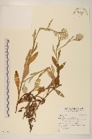 登錄號:S123512藏品圖，第1張