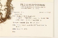 登錄號:S123513藏品圖，第2張