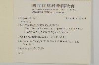 登錄號:S123514藏品圖，第2張