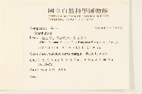 登錄號:S123525藏品圖，第2張