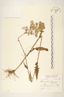 登錄號:S123535藏品圖，第1張