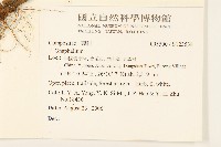 登錄號:S123538藏品圖，第2張