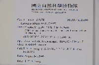 接骨草藏品圖，第2張