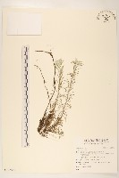 登錄號:S123569藏品圖，第1張