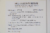 狹萼鬼吹簫藏品圖，第2張